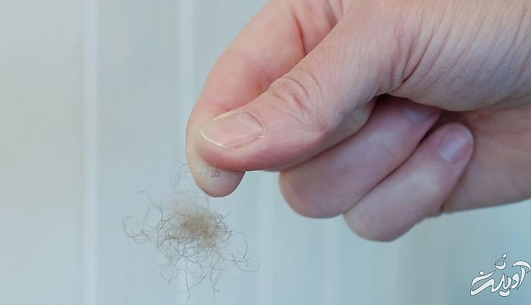 گران‌ترین پر جهان از کجا تهیه می‌شود؟ (+عکس)